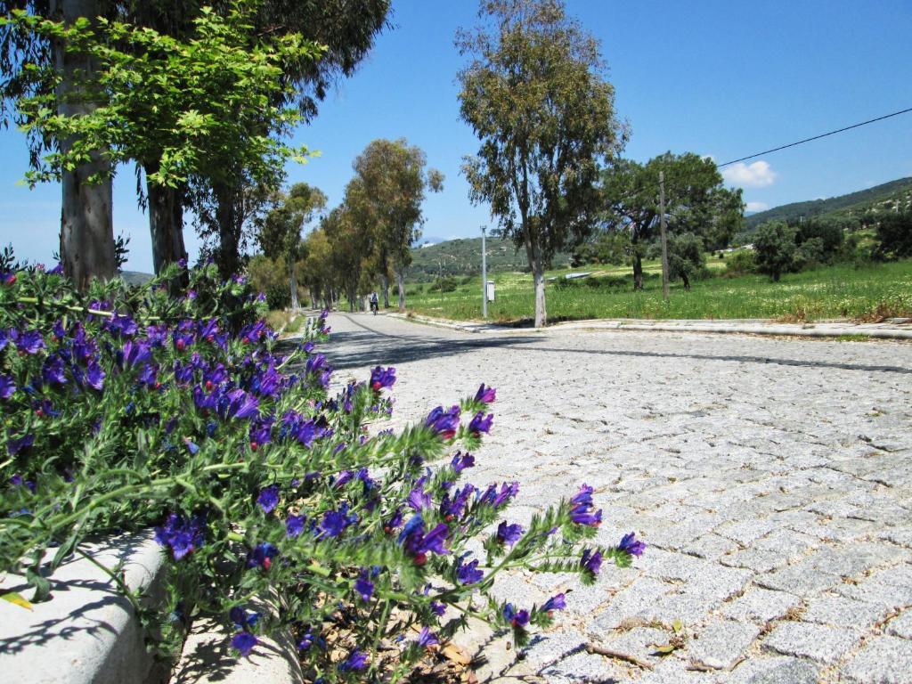 Zeybek 1 Pension Patara Buitenkant foto